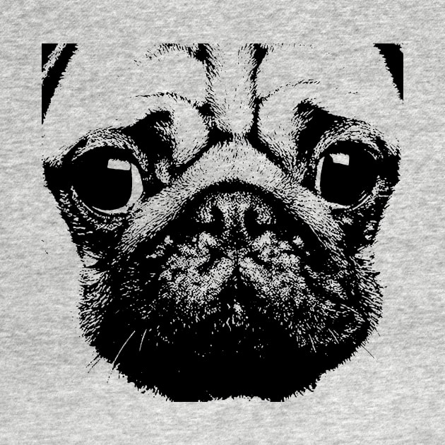 Pug by martian